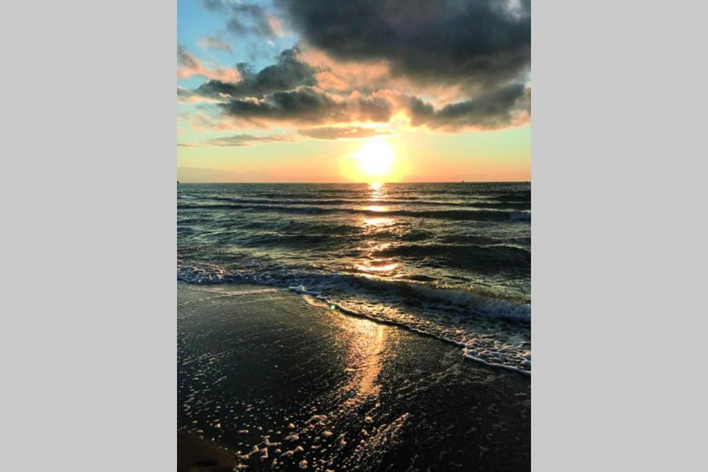 Ostsee-Ferienwohnung Uhlnuest Graal-Mueritz Gelbensande Dış mekan fotoğraf