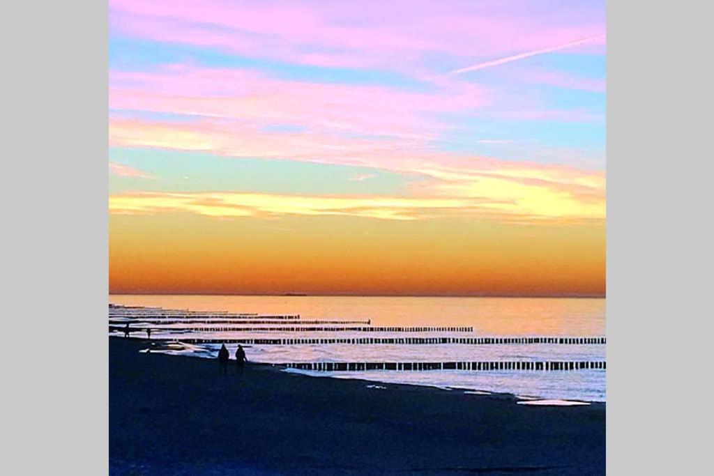 Ostsee-Ferienwohnung Uhlnuest Graal-Mueritz Gelbensande Dış mekan fotoğraf