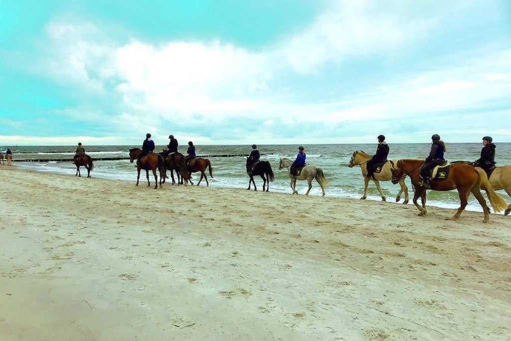 Ostsee-Ferienwohnung Uhlnuest Graal-Mueritz Gelbensande Dış mekan fotoğraf