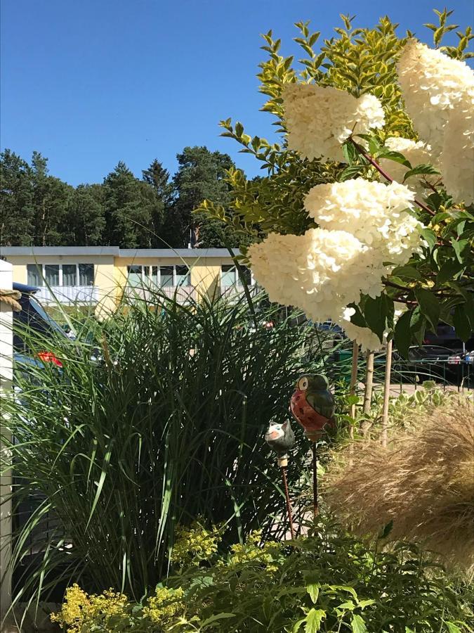 Ostsee-Ferienwohnung Uhlnuest Graal-Mueritz Gelbensande Dış mekan fotoğraf